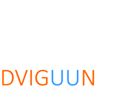 DVIGUUN - частное продвижение сайтов в Москве
